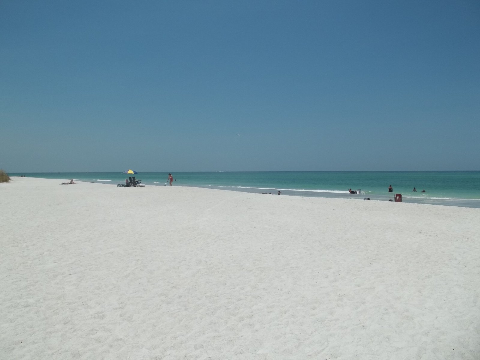 Exploring ‌Longboat Key’s Top Condos for Sale: A Paradise for Beach Lovers