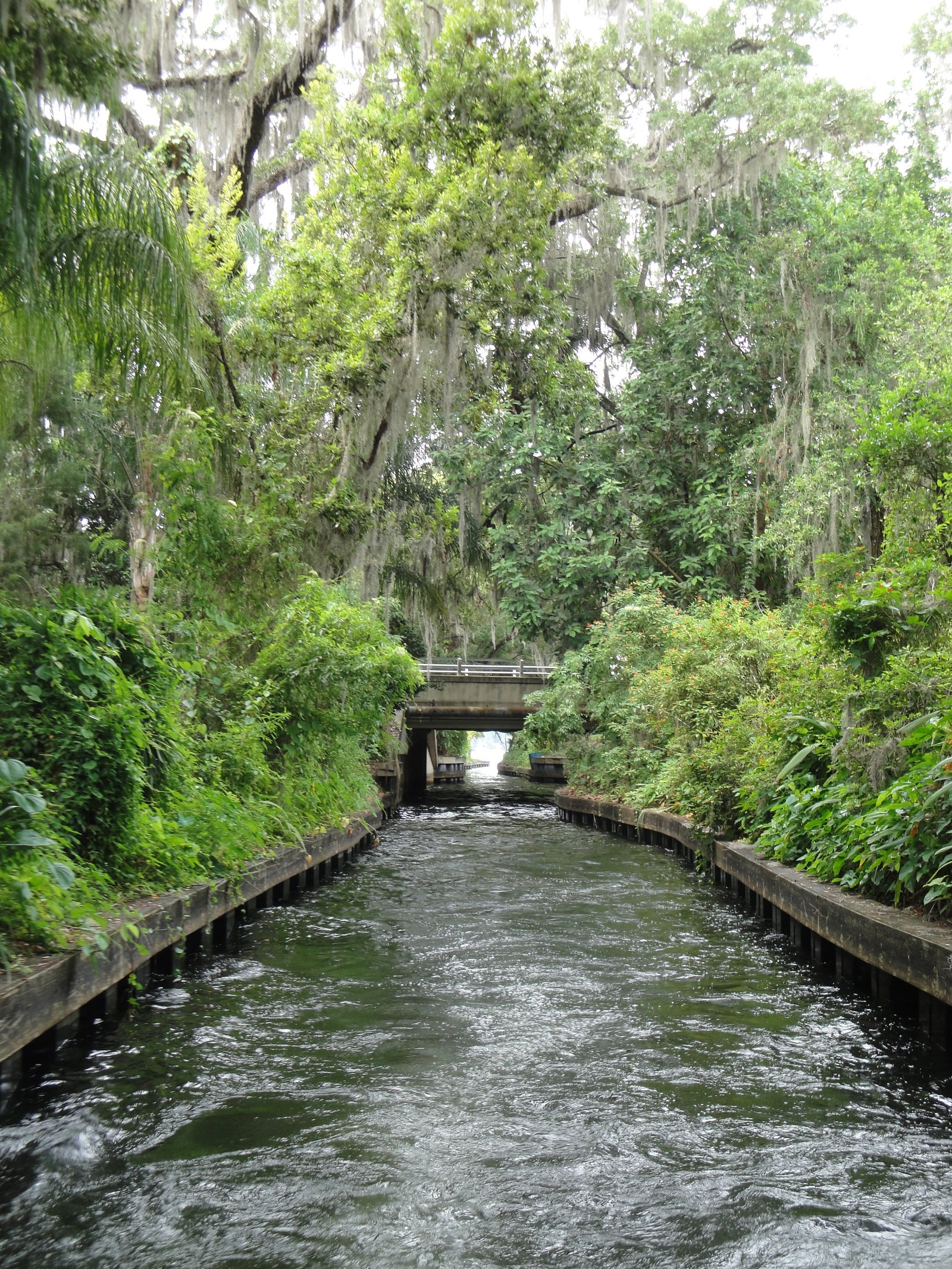 Unveiling the Allure of Winter Park FL Real Estate Market