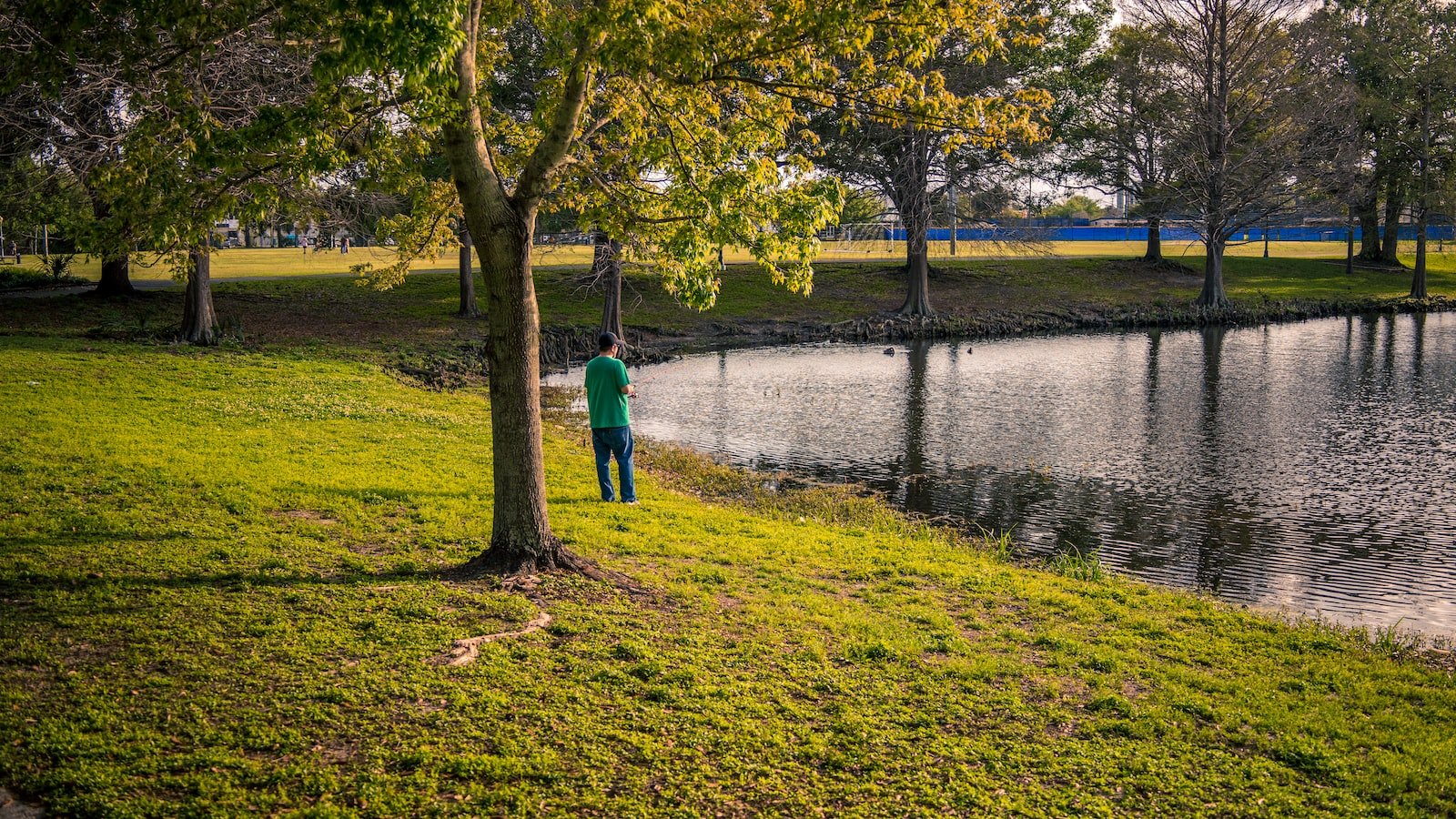 Winter‌ Park FL: A Charming Haven ​for Homebuyers