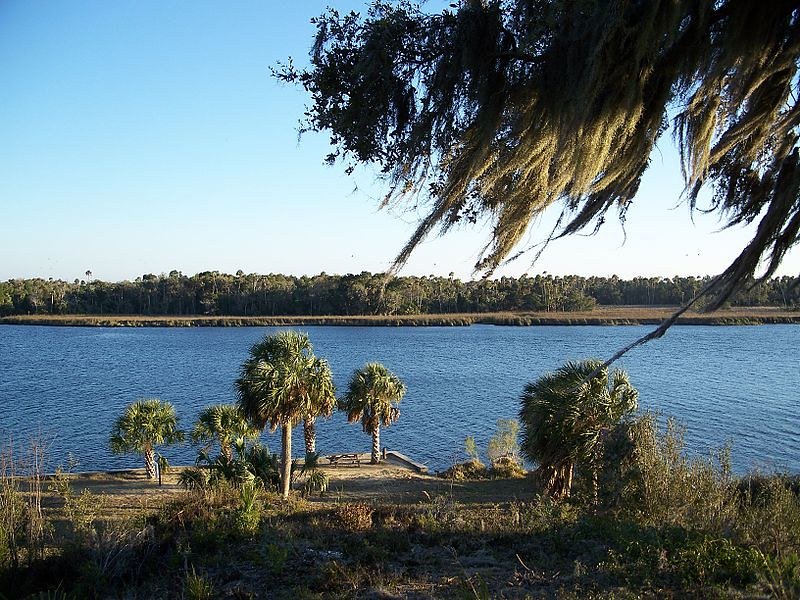 Crystal River FL: A Hidden Gem for Homebuyers and Outdoor Enthusiasts