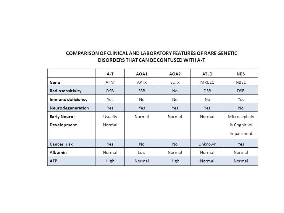 Comparing Features‌ and User Experience: A Comprehensive Evaluation