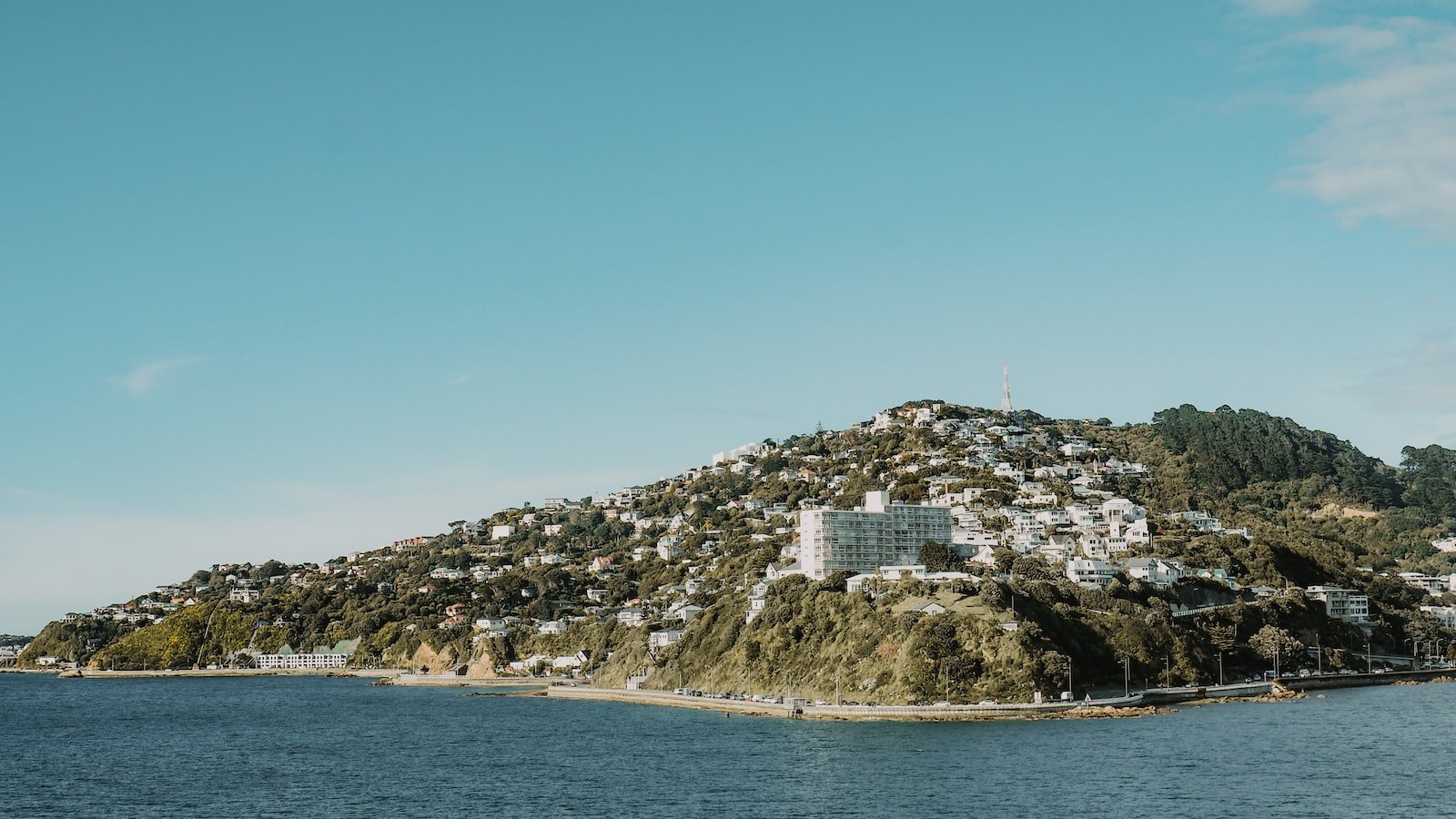 Unveiling the​ Top Features‌ of Trulia's ‌Wellington‍ FL Listings