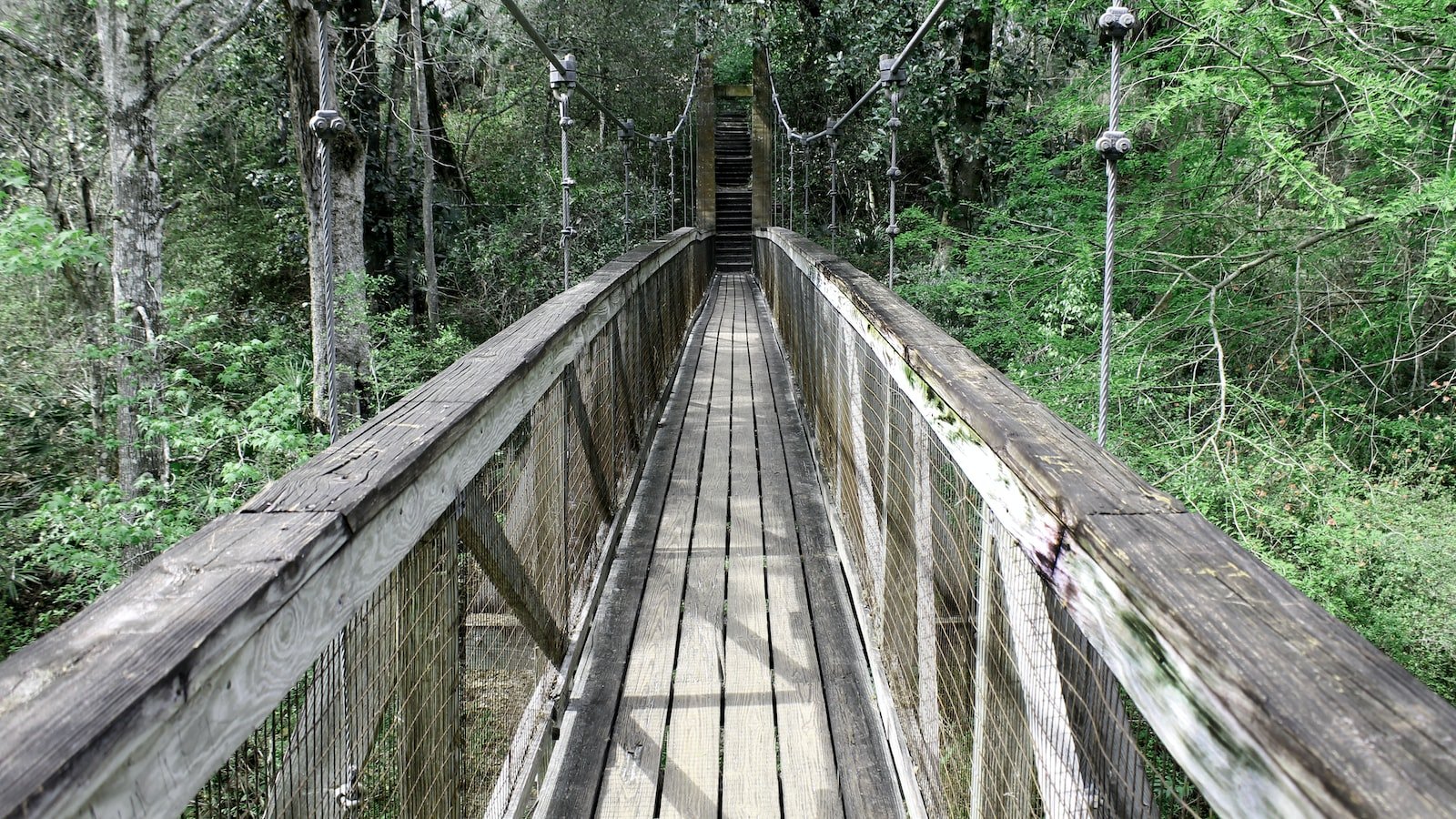 2. â¢Unveiling Palatka's Hidden â¤Gem: Your Guide â¢toâ€Œ the Charmingâ€Œ Realâ€Œ Estate Market