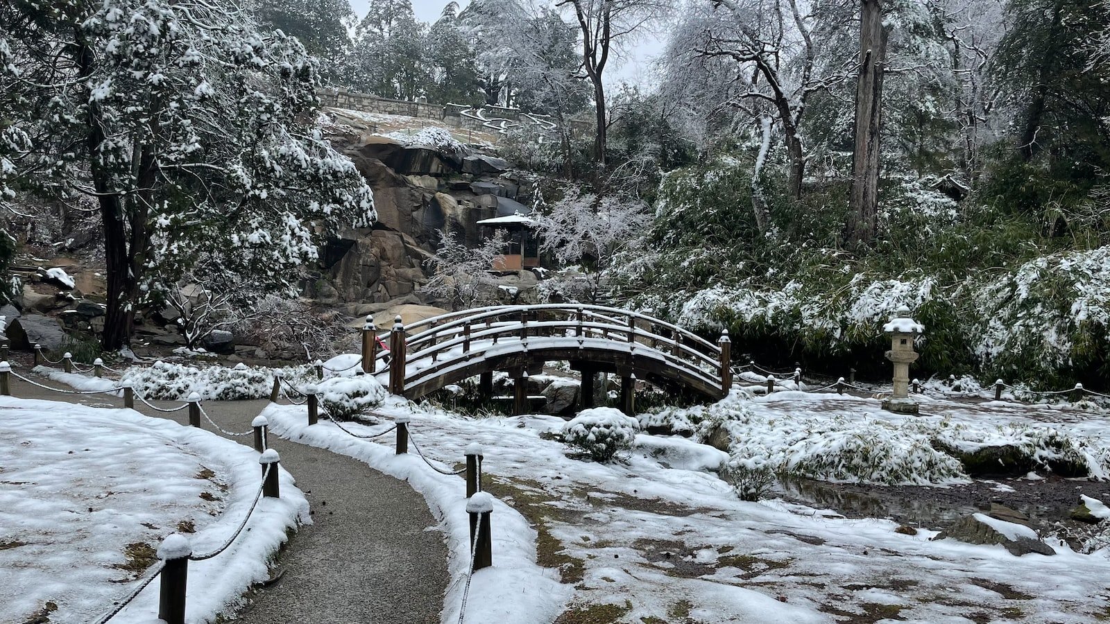 Unveiling⁢ the Key Features ⁣of Winter Garden's Finest Real Estate Websites