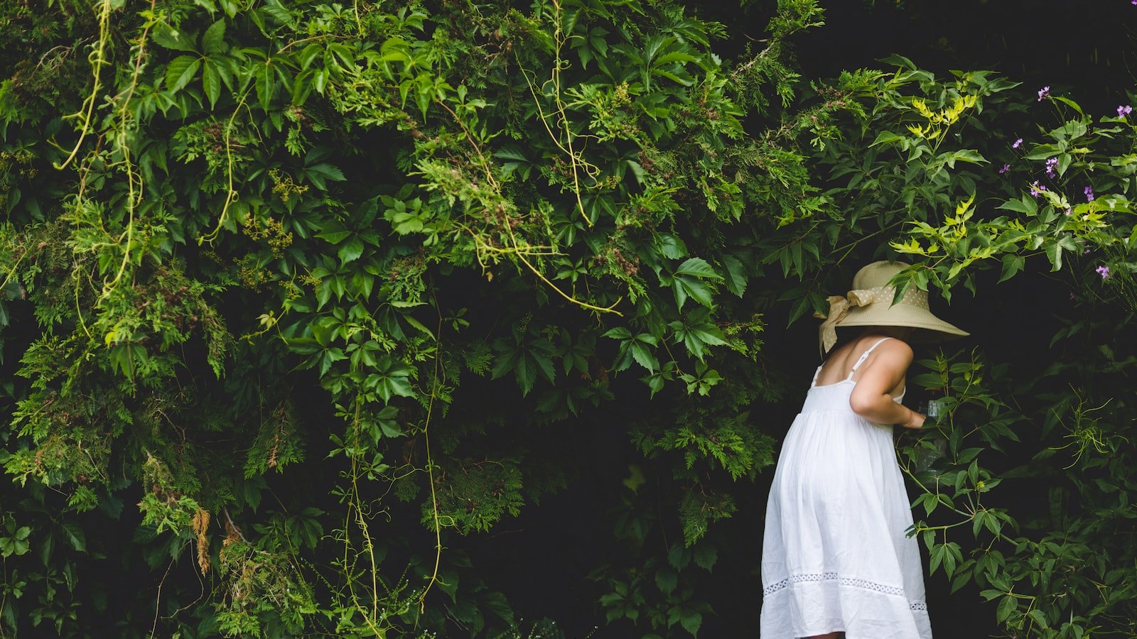 Exploring ⁣the Thriving Real Estate ⁣Market of Greenacres FL