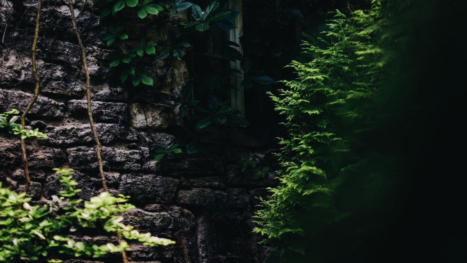 Hidden⁣ Gems: ​Must-See Houses for⁣ Sale ⁤in ⁣Stuart, FL