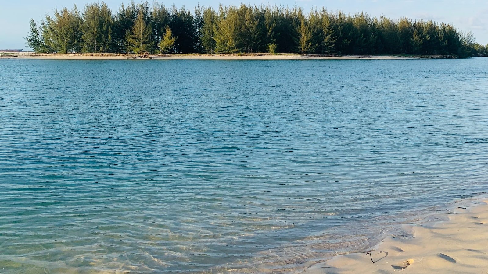 Discover the Hidden Gems of Palm Beach, FL with â€Realtor.com