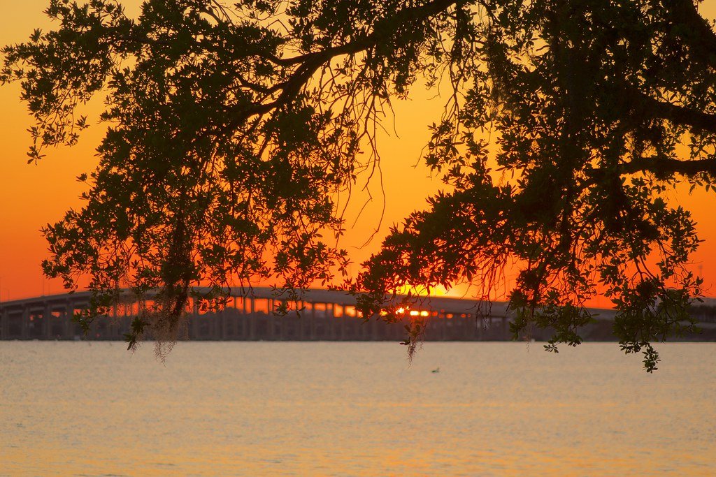 Indialantic's Hidden Gems: Uncover Charming‌ and ‌Unique Properties in‌ this​ Coastal Town