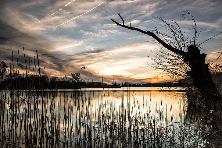 Affordable Tranquility: Budget-friendly Homes for ⁢Sale near Lake Wales FL