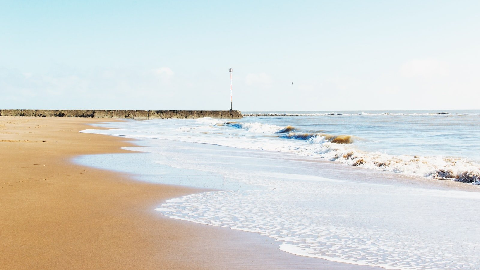 Coastal Delights: Explore the Charm of Homes for Sale Near Venice FL