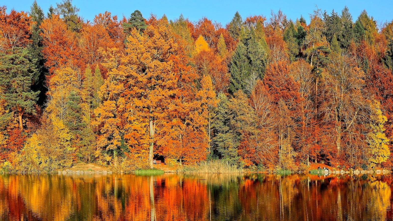 Exploring the Charm of Zillow Lake‍ Alfred FL: A Hidden Gem for Homebuyers