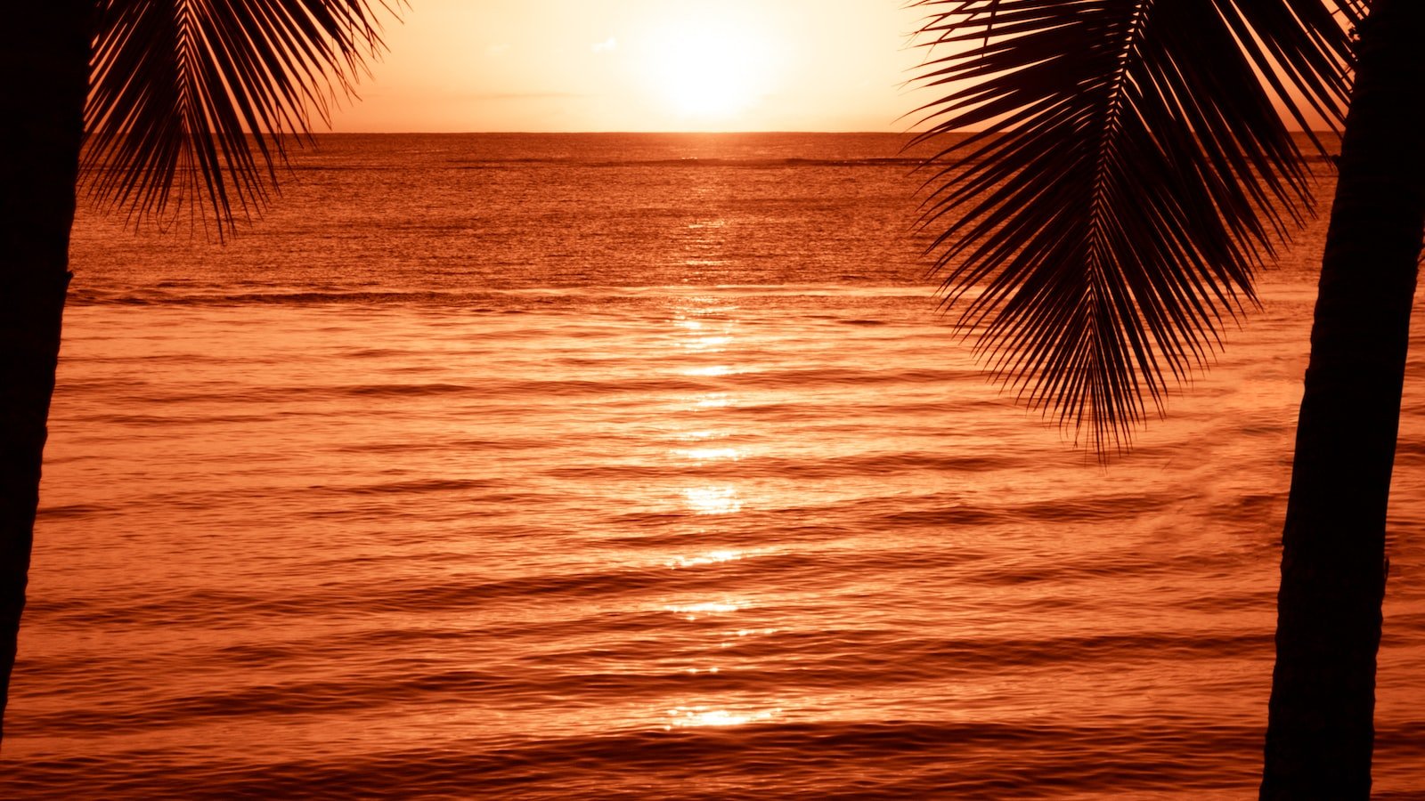 Embrace the Royal Palm Beach Lifestyle: Local Amenities and Recreational Opportunities in Close Proximity to Homes for Sale