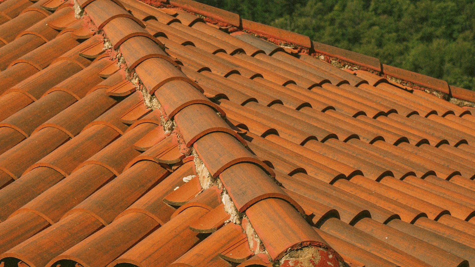 Ideal Housing Options: Unearthing the Finest‌ Properties near Jacksonville FL