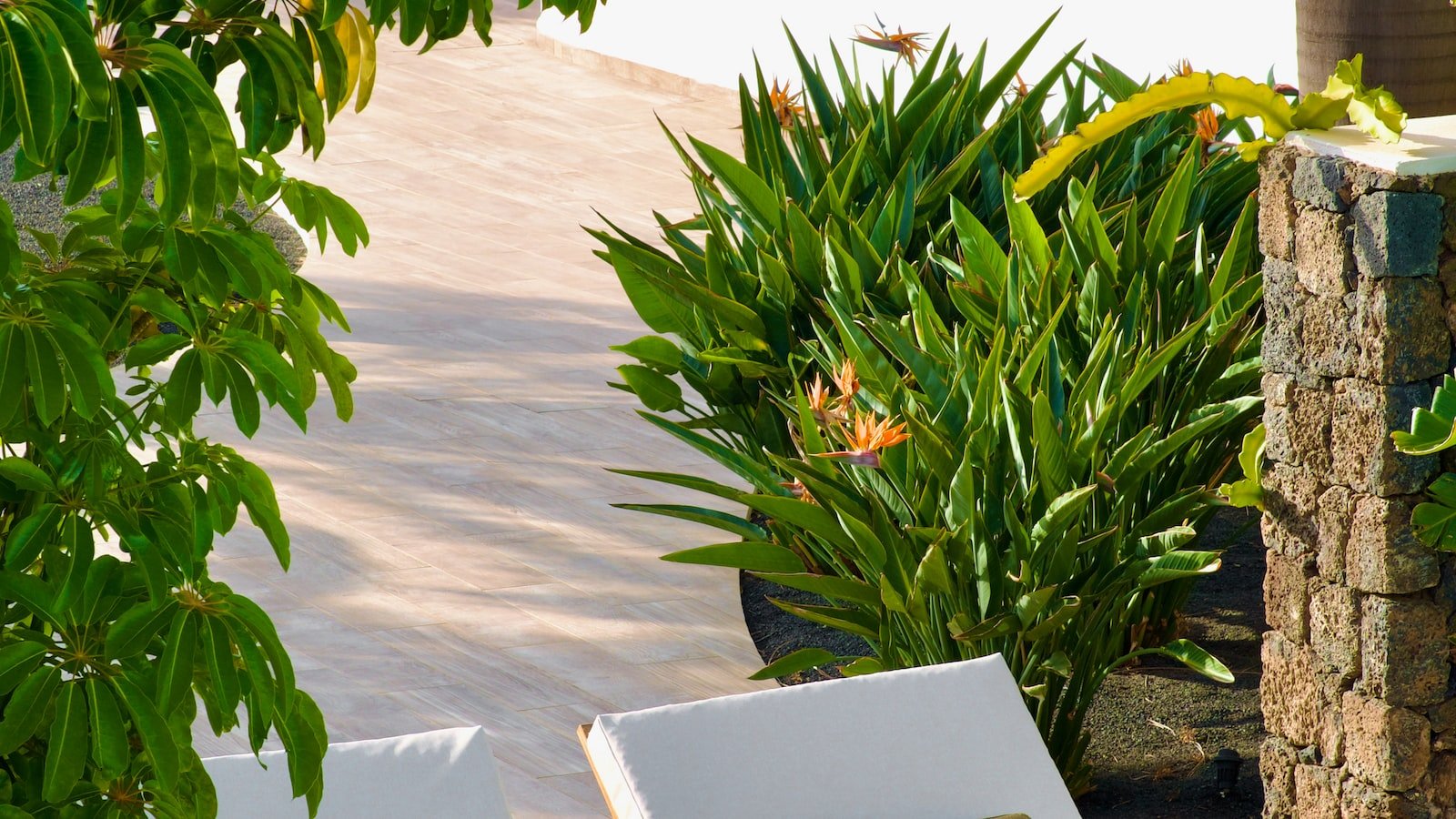 Your Ultimate Guide to Finding Your ⁤Dream Home near Treasure Island FL